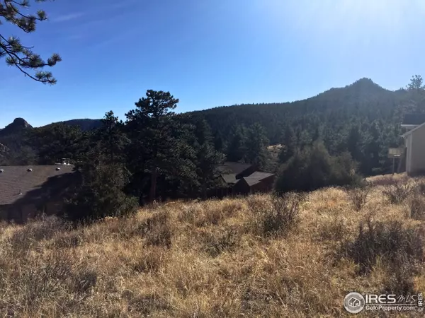 Estes Park, CO 80517,1066 Fall River Ct