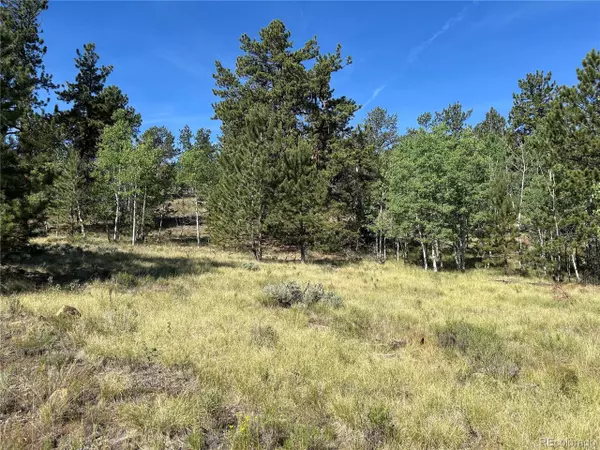 Hartsel, CO 80449,519 Hayhook Way