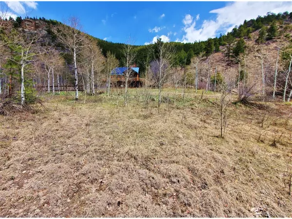 Dumont, CO 80436,1265 Mill Creek Rd