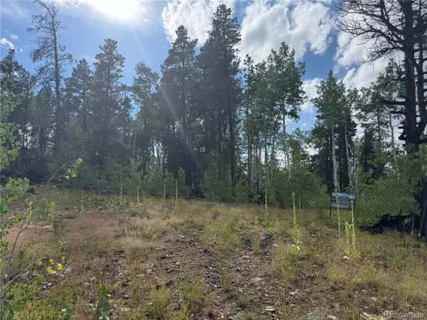 Central City, CO 80427,1 Church Placer Rd