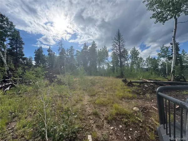 Central City, CO 80427,1 Church Placer Rd