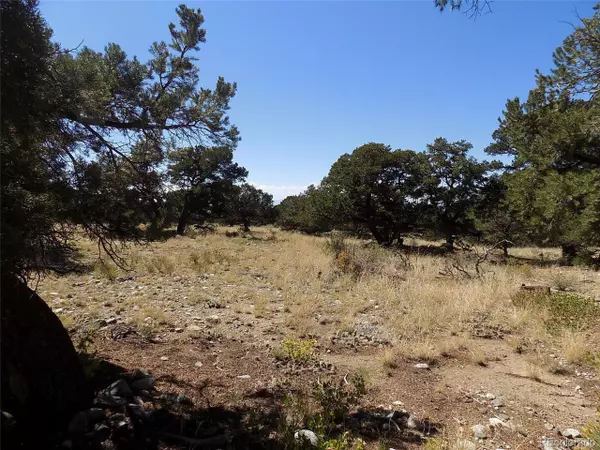 Mosca, CO 81146,Mill Run Rd