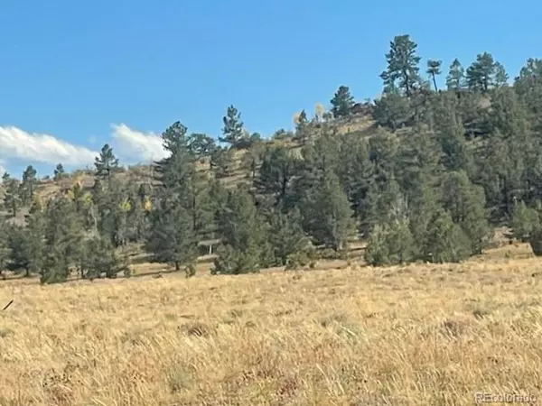Black Beaver Trl, Hartsel, CO 80449