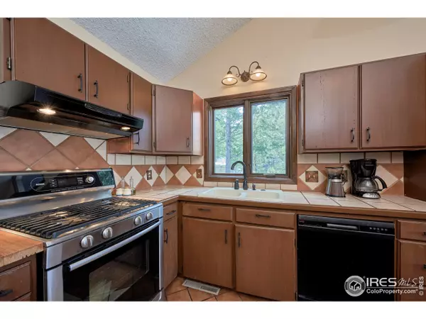Nederland, CO 80466,241 Alpine Dr