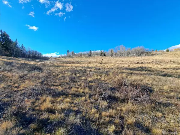 Como, CO 80432,0 Hawk Way