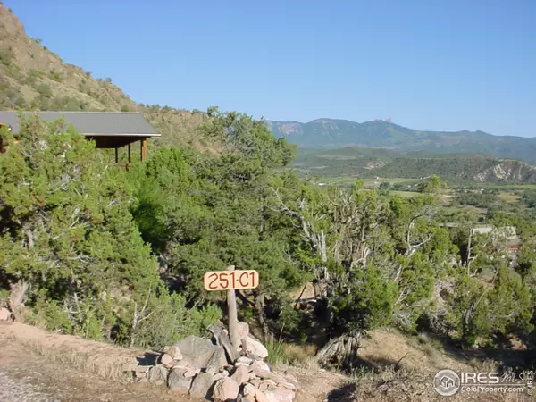 251 Youngs Dr #1, Crawford, CO 81415