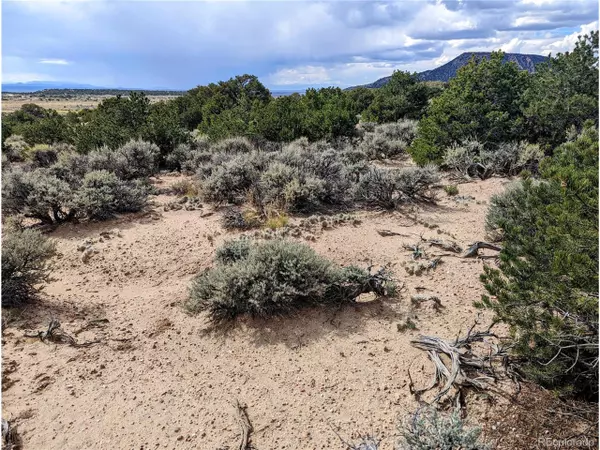 Fort Garland, CO 81133,1762 Slegers Rd