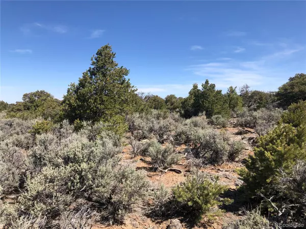 San Luis, CO 81152,0 Crystal Collins Parcel 9 Lots 1 and 3