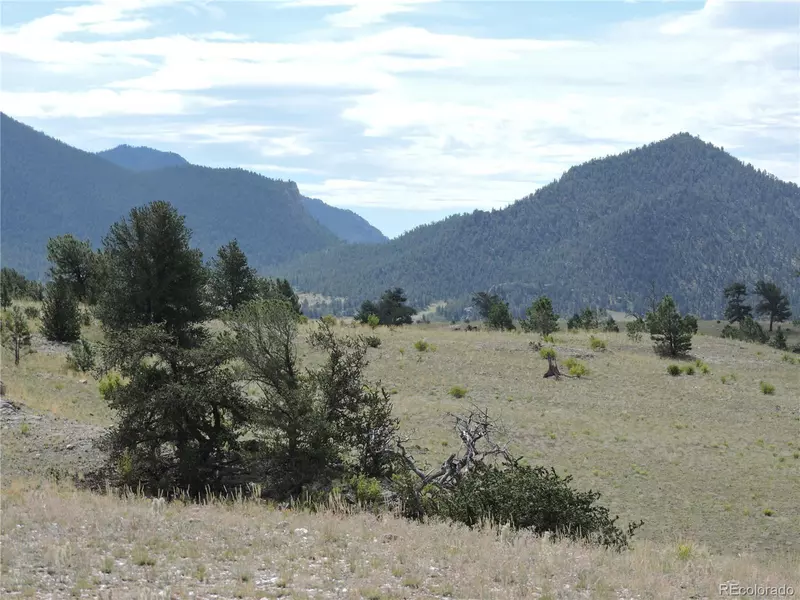 11499 Jackson Rd, Hartsel, CO 80449