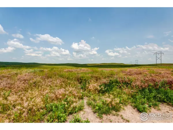 Eckley, CO 80727,15742 County Road 48