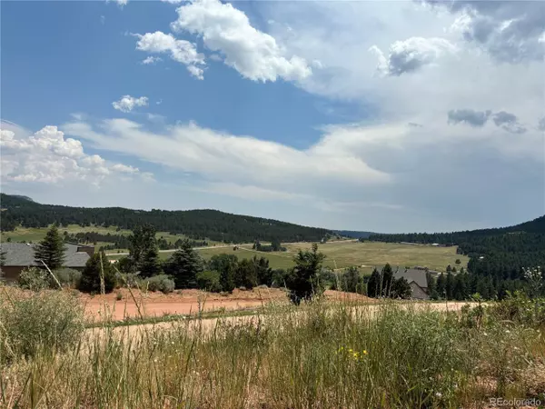 Larkspur, CO 80118,2288 Badger Dr