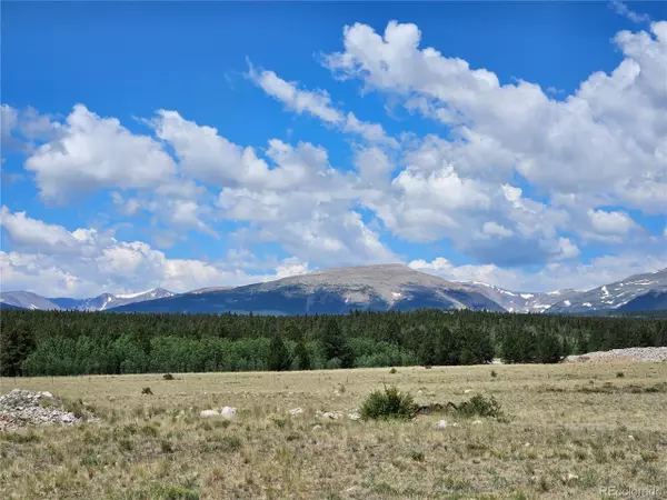 Fairplay, CO 80440,0 Trout Creek Dr