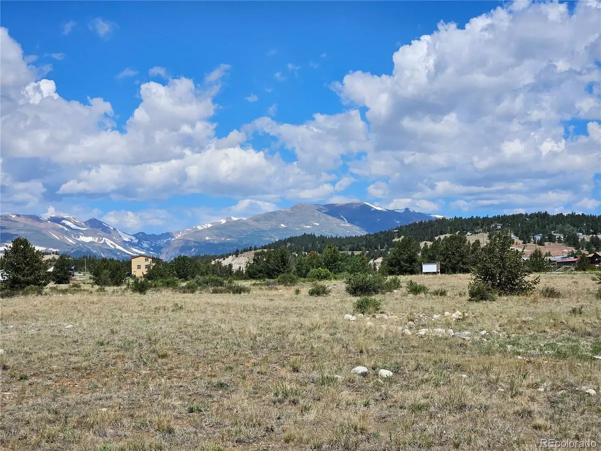 Fairplay, CO 80440,0 Trout Creek Dr