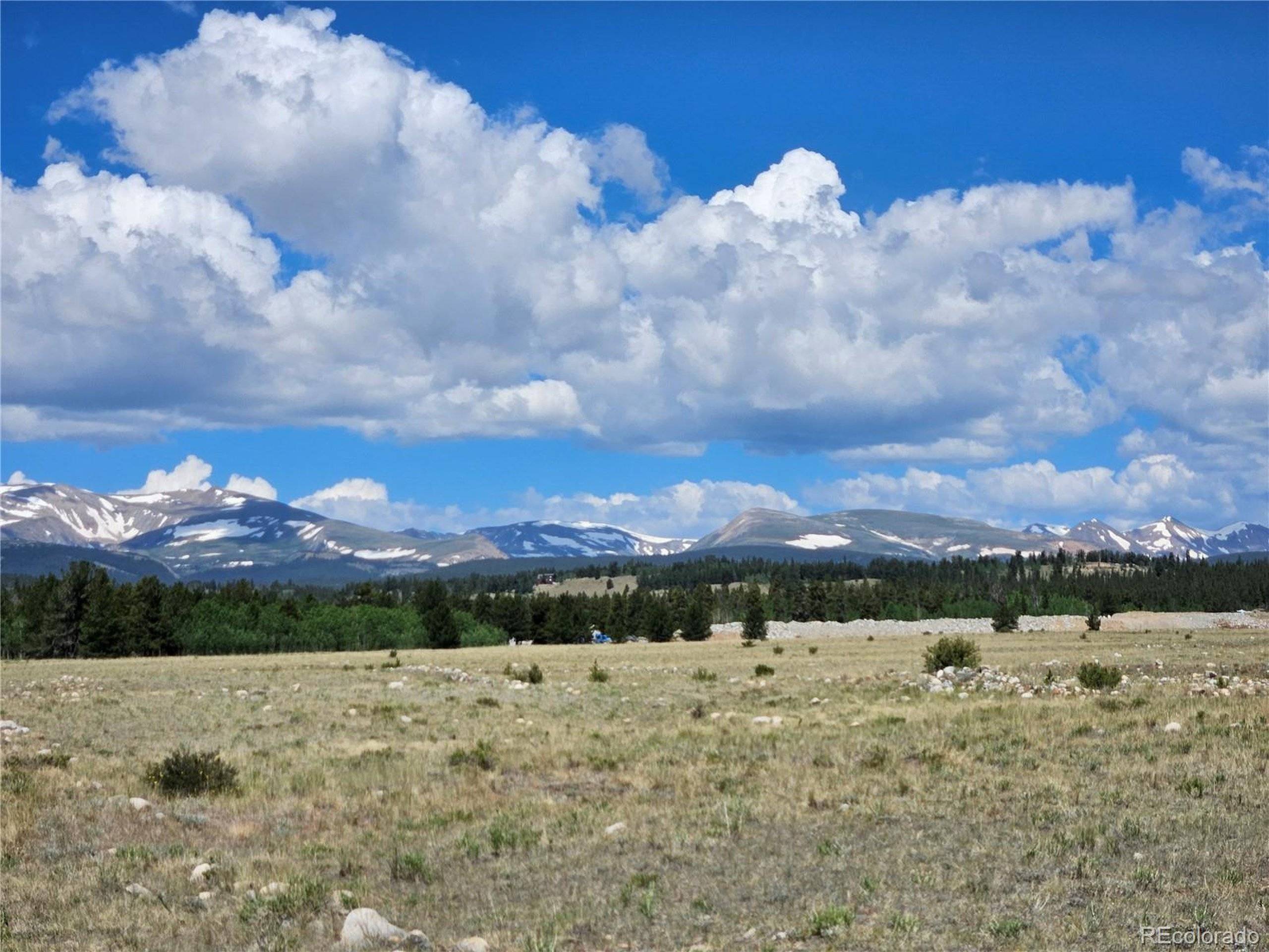 Fairplay, CO 80440,0 Trout Creek Dr