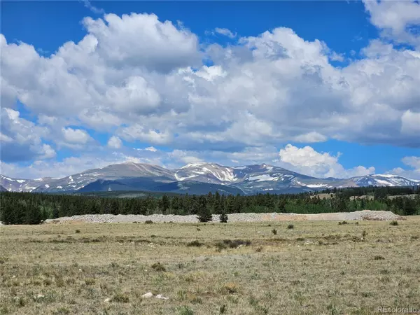 Fairplay, CO 80440,0 Trout Creek Dr