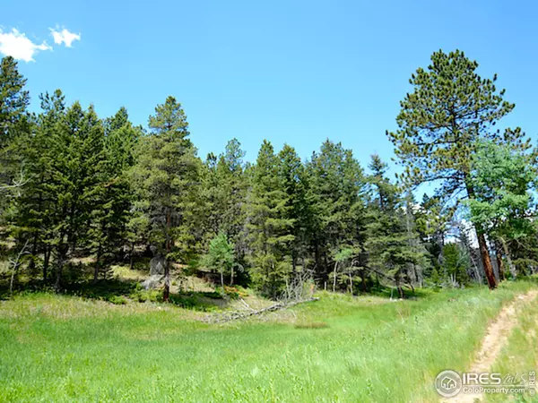 Nederland, CO 80466,0 Switzerland Trl