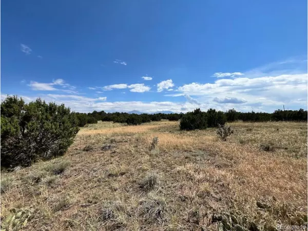 Walsenburg, CO 81089,Buffalo Dr N