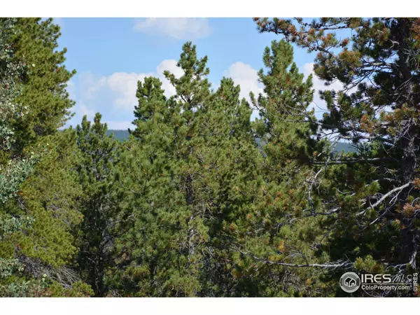 Nederland, CO 80466,47 Bonanza Dr