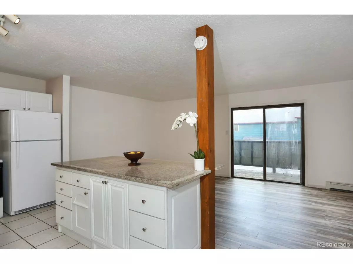 Dillon, CO 80435,535 Straight Creek Dr #204