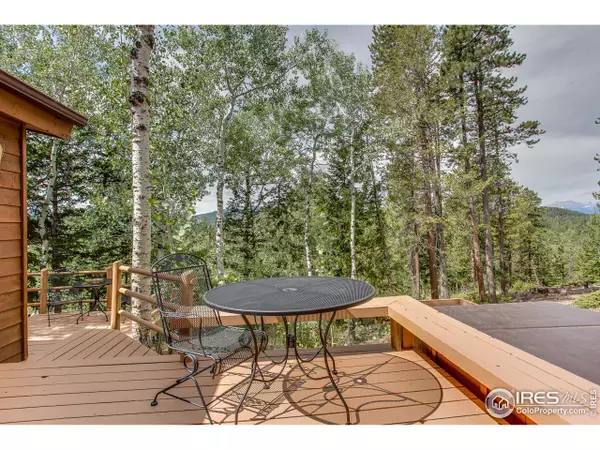 Golden, CO 80403,11760 Spruce Canyon Cir