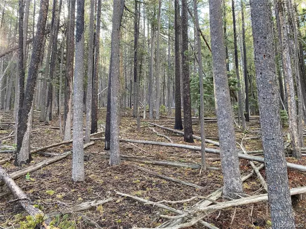 Fort Garland, CO 81133,2687 Purnell Ln