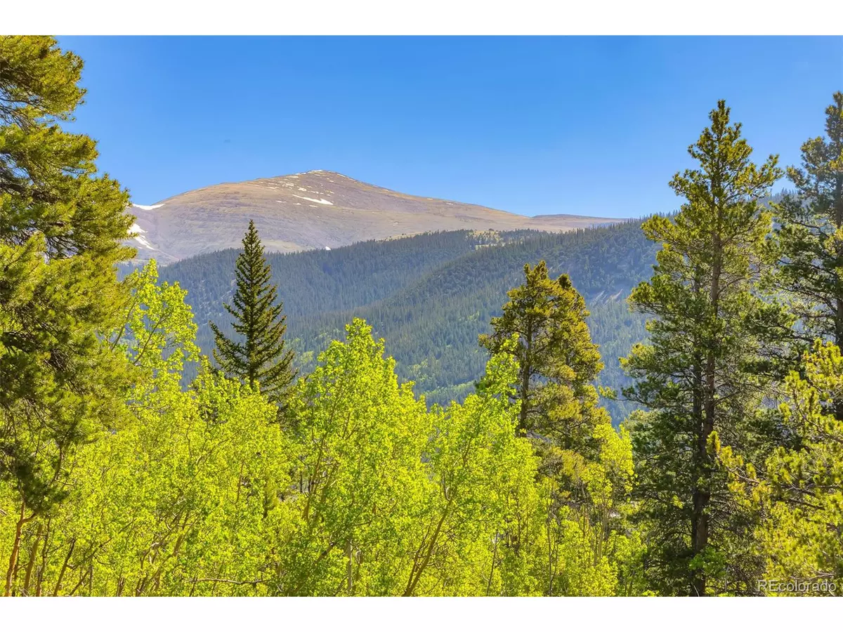 Alma, CO 80420,715 Lewsader Rd