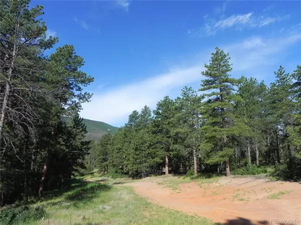 Larkspur, CO 80118,4485 Delaware Dr