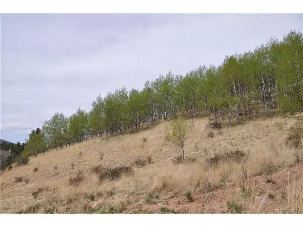 Cripple Creek, CO 80813,170 Little Topsey Dr