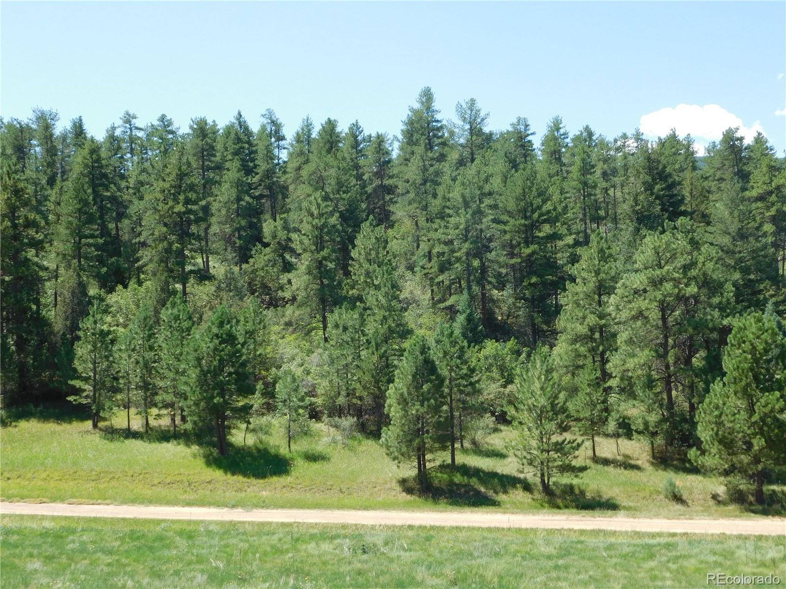 Larkspur, CO 80118,4668 Comanche Dr
