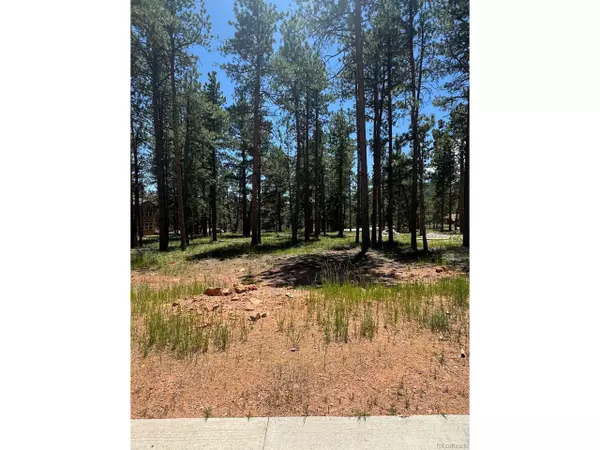 Woodland Park, CO 80863,1287 Firestone Dr