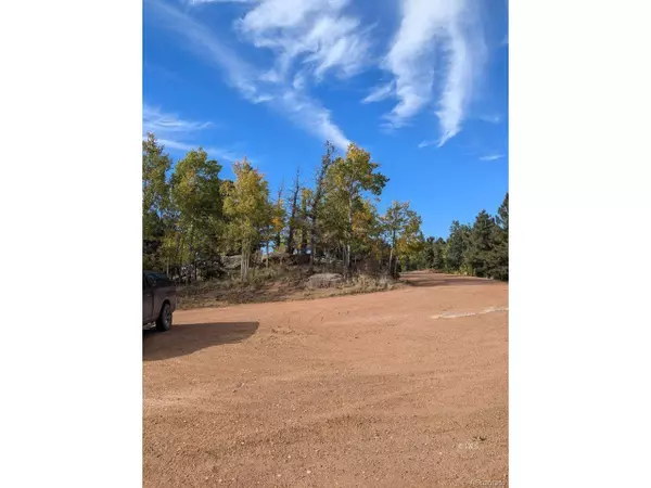 Florissant, CO 80816,303 Viewcrest Way