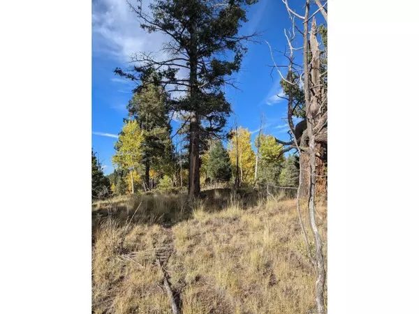 303 Viewcrest Way, Florissant, CO 80816