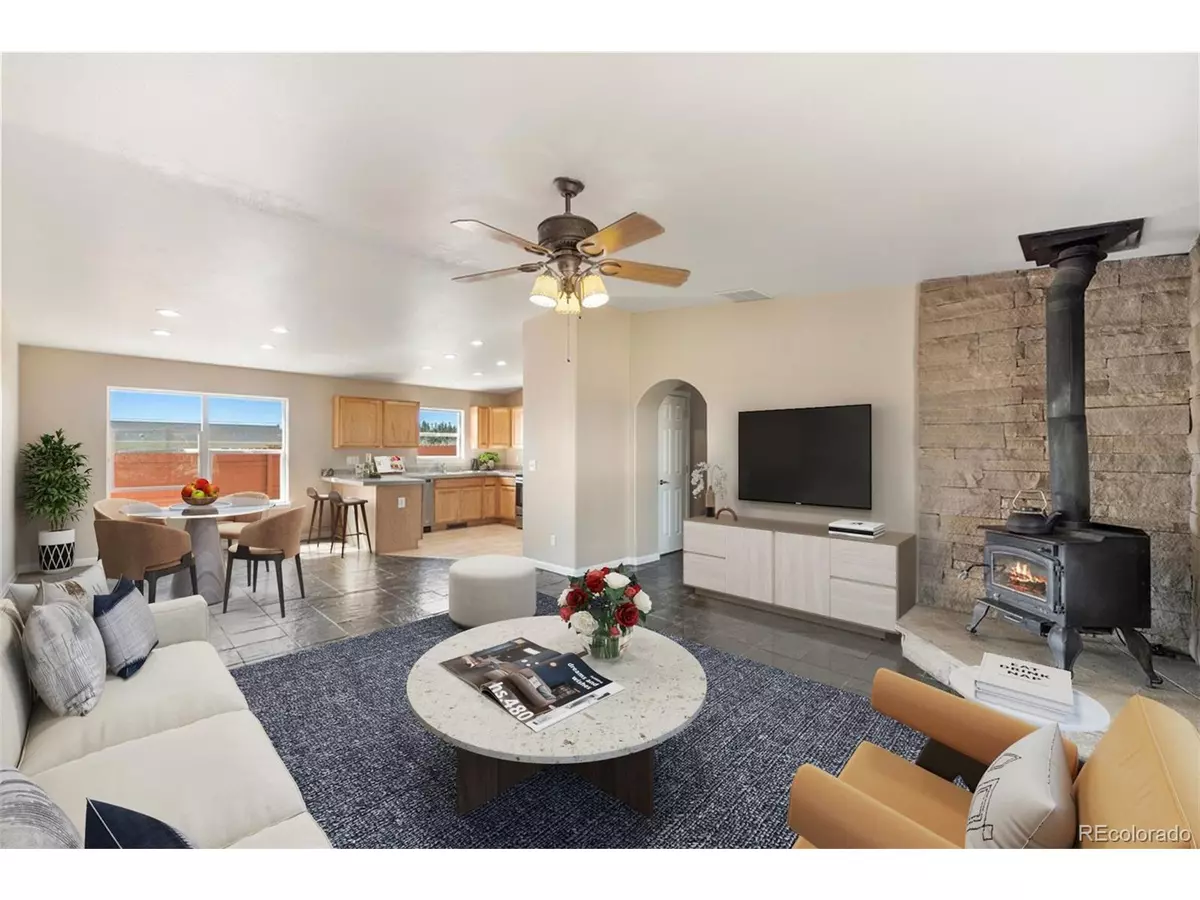 Fairplay, CO 80440,875 Trout Creek Dr