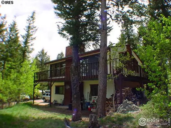 420 Bramer Rd, Ward, CO 80481