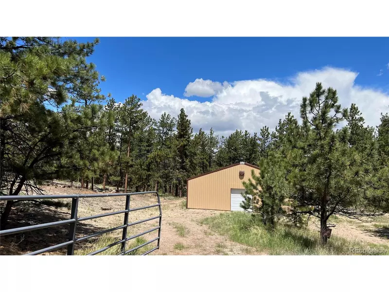 207 Little Bear Dr, Westcliffe, CO 81252