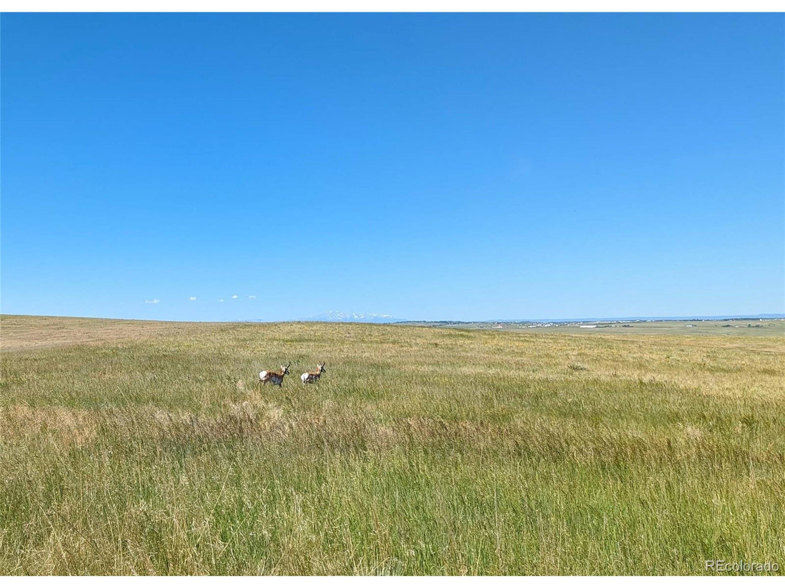 Kiowa, CO 80117,9 Quietude Lane