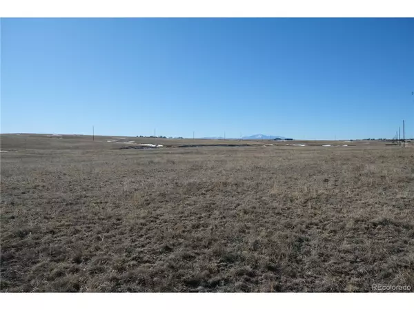 Peyton, CO 80831,20713 Blue Springs Vw