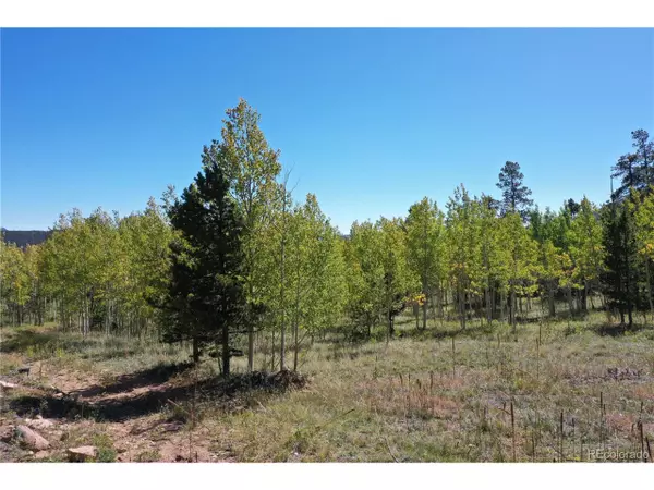 Bailey, CO 80421,105 Road P62