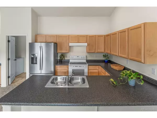 Severance, CO 80550,319 Torreys Dr