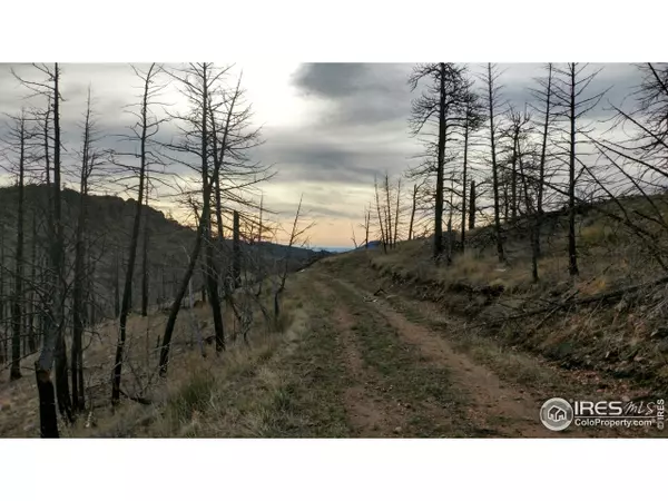 151 Black Mountain Ct, Livermore, CO 80536