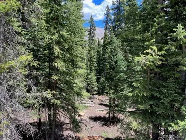 Breckenridge, CO 80424,Address not disclosed