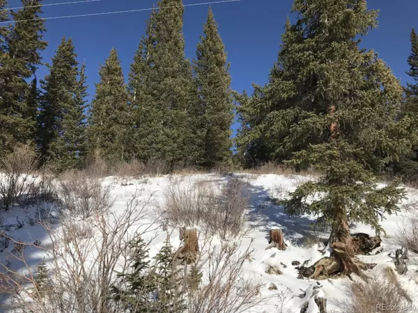 Alma, CO 80420,232 Titmouse Dr