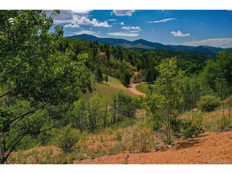 1300 Golden Cycle Cir, Cripple Creek, CO 80813