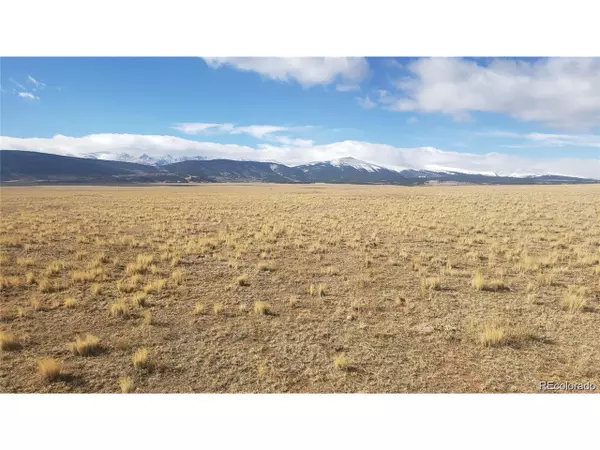 Fairplay, CO 80440,4990 Meier Ridge Trl