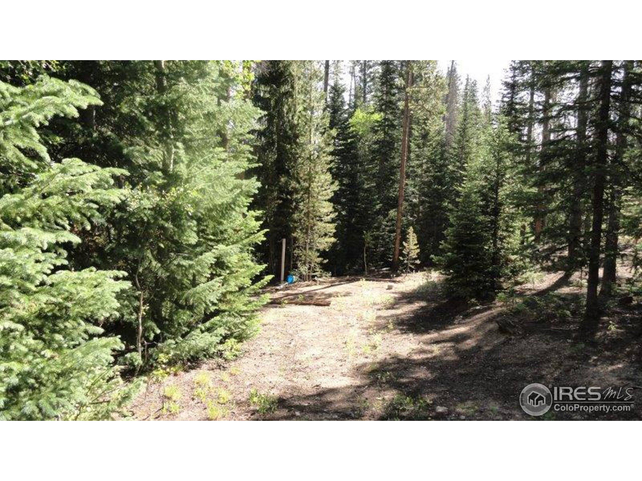 Red Feather Lakes, CO 80545,2356 Ottawa Way