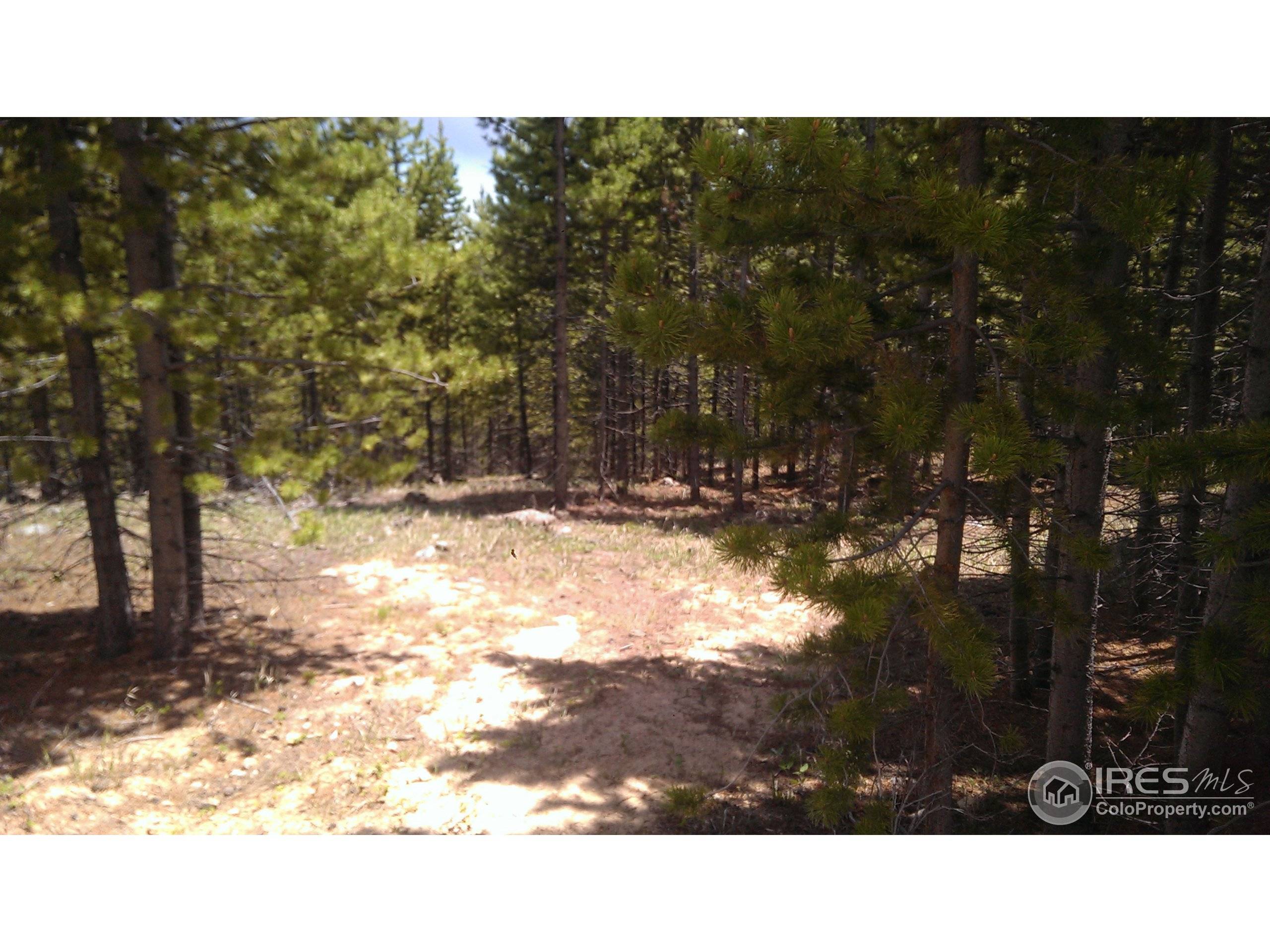 321 Mosquito Dr, Red Feather Lakes, CO 80545