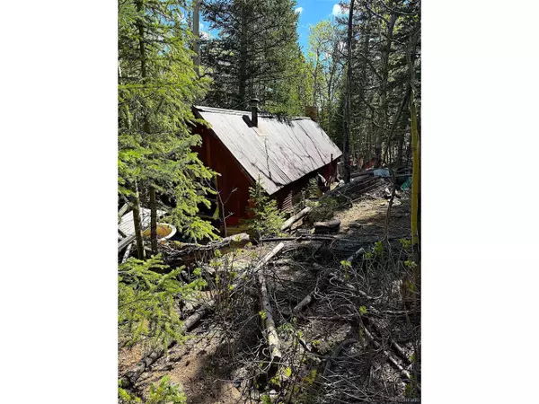 Idaho Springs, CO 80452,3257 Trail Creek Rd