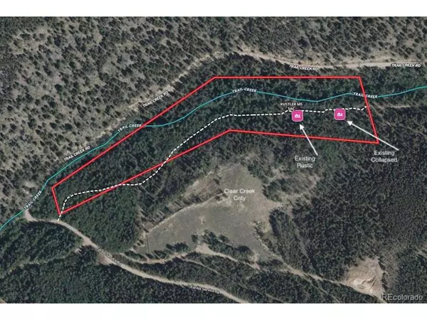 3257 Trail Creek Rd, Idaho Springs, CO 80452