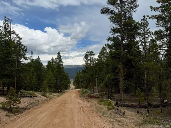 Leadville, CO 80461,284 Fir Dr