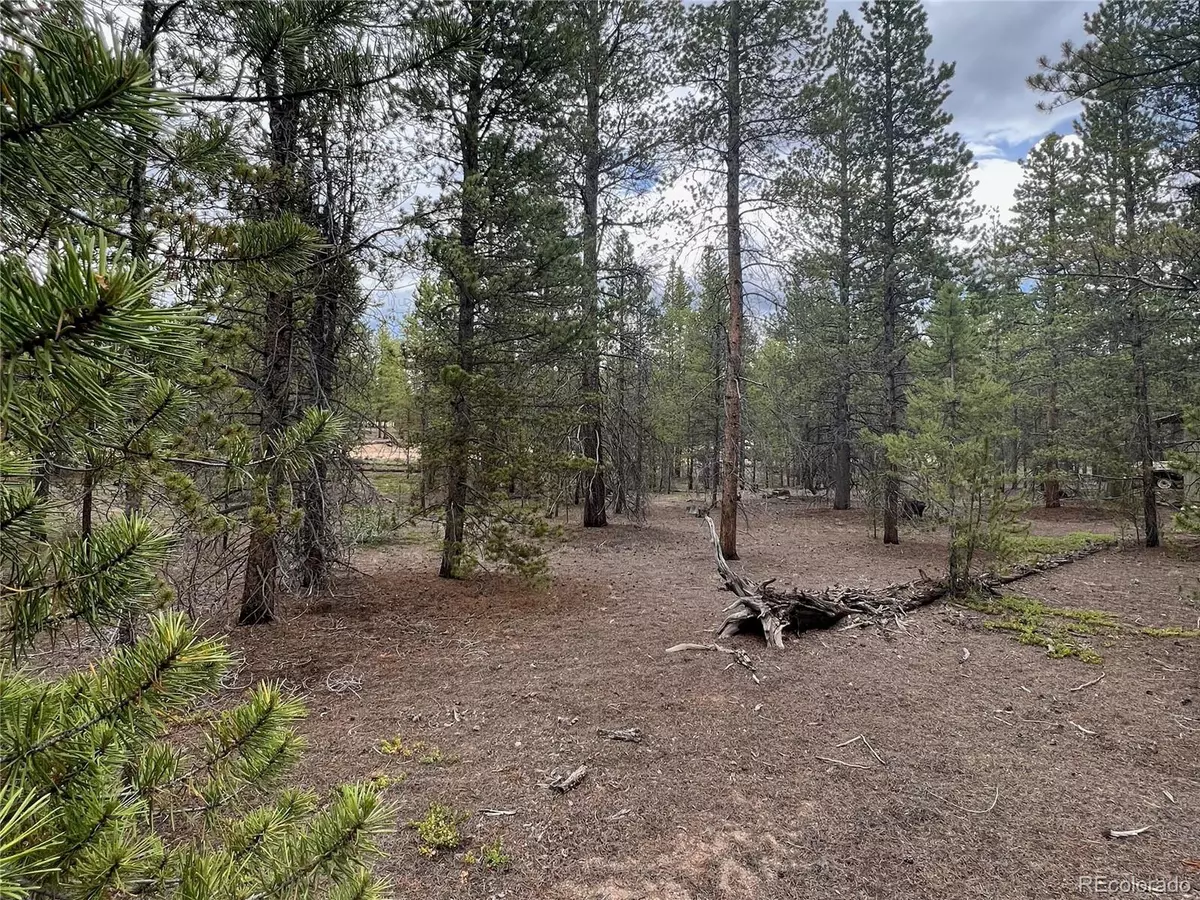 Leadville, CO 80461,284 Fir Dr